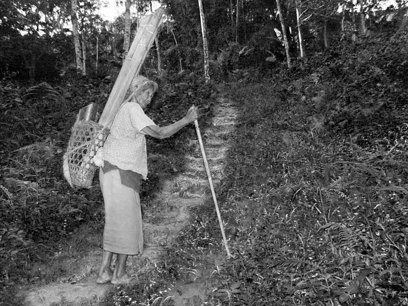 Women and Drinking Water Challenges - 82 year old woman carrying approximately 45 liters of drinking water on her back up a hilly track in Mokokchung district, Nagaland